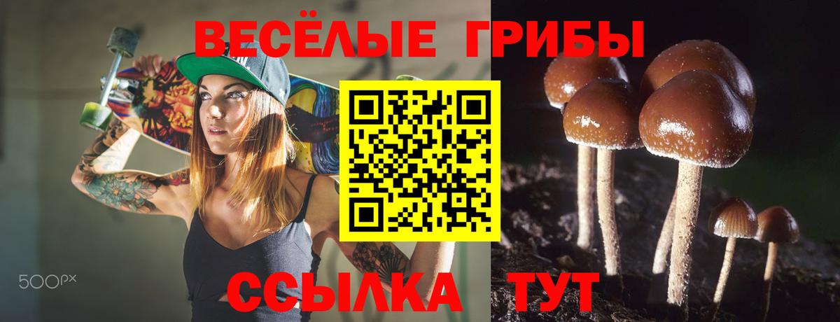 Псилоцибиновые грибы мицелий Кубинка